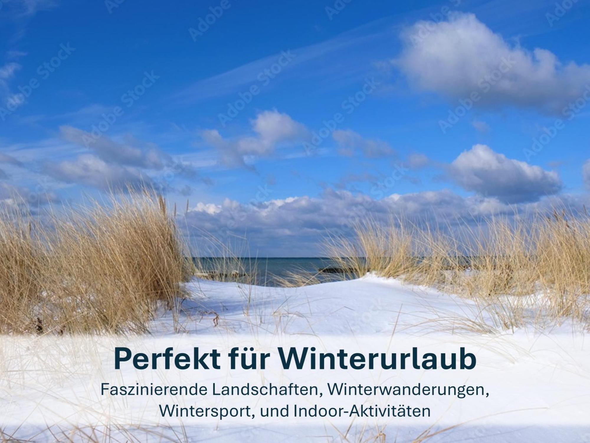 Zinnowitz, Paradies Am Wald - Wg 05 Dış mekan fotoğraf