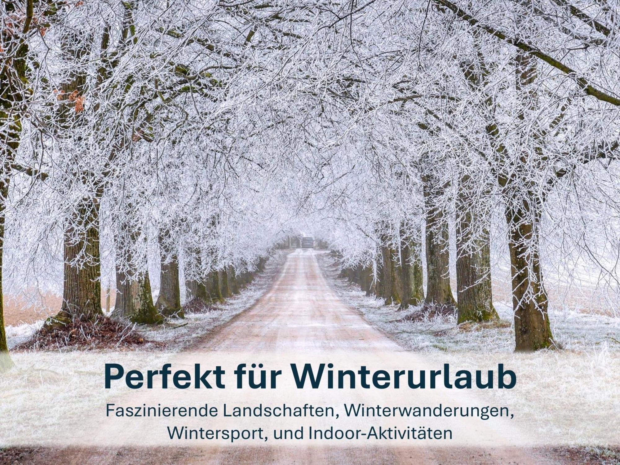 Zinnowitz, Paradies Am Wald - Wg 05 Dış mekan fotoğraf