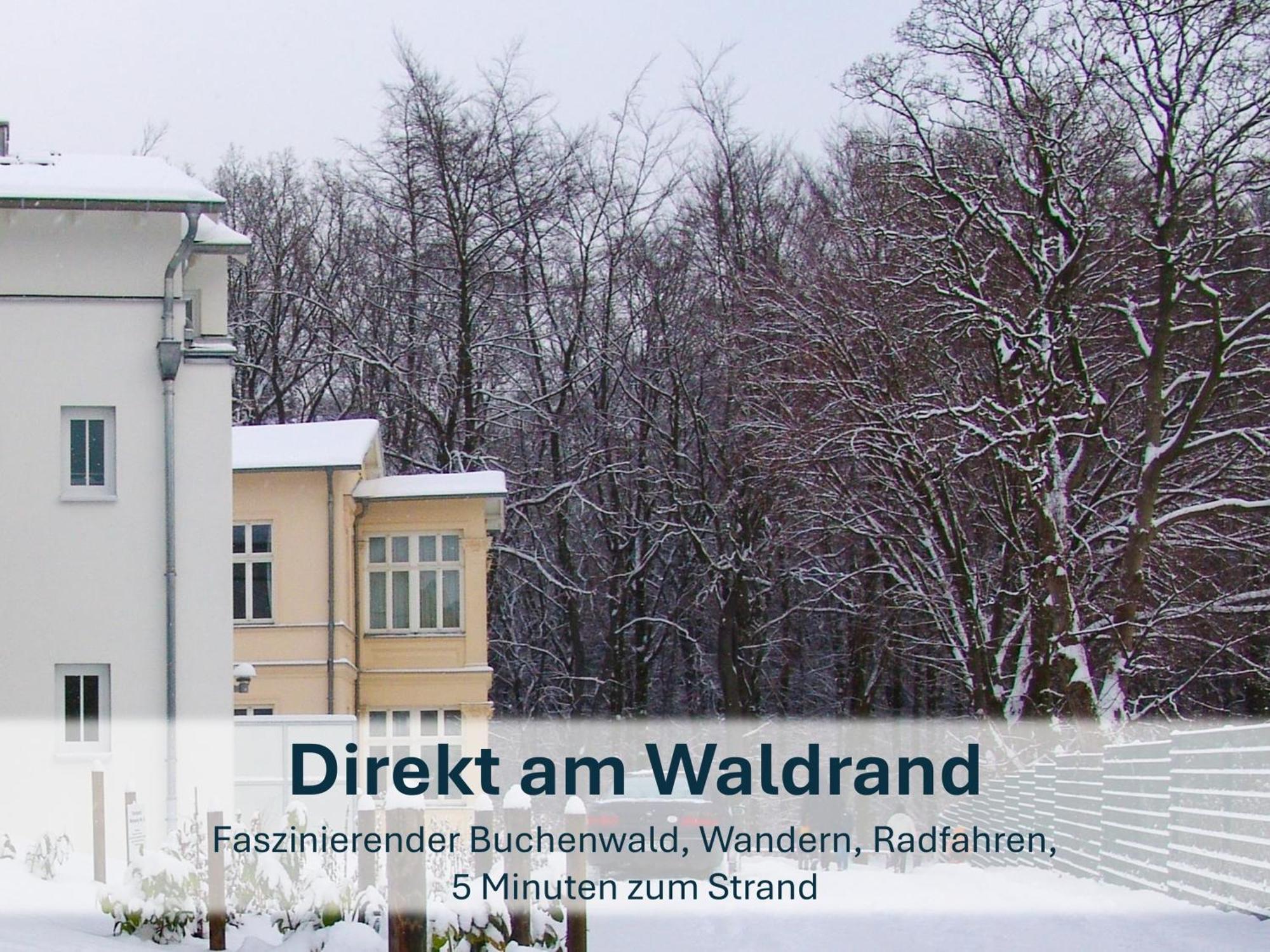 Zinnowitz, Paradies Am Wald - Wg 05 Dış mekan fotoğraf